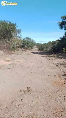 Fazenda Venda No Graja Ma Hectares Dupla Aptid O