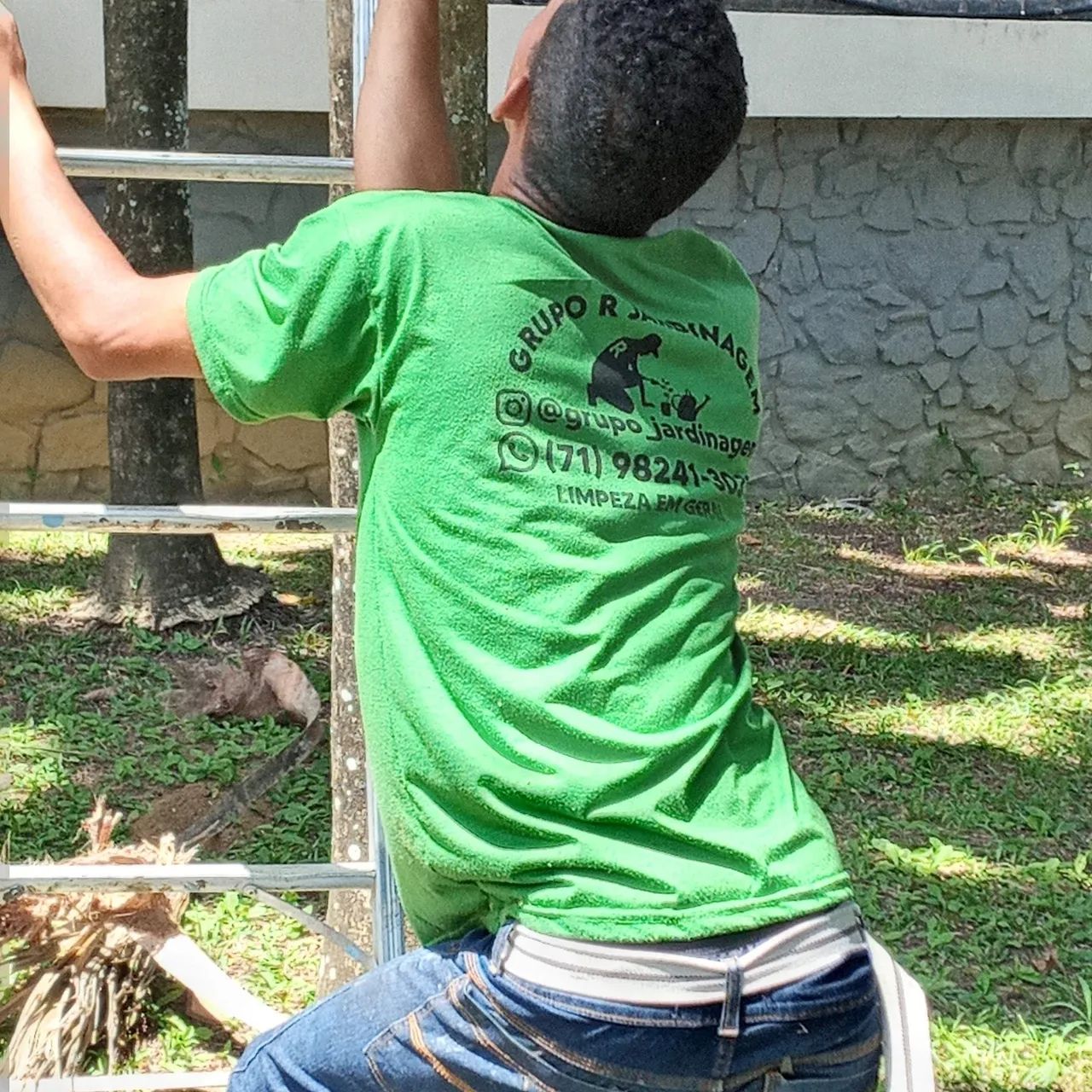 Servi O De Corte E Poda De Rvores E Coqueiros Servi Os Liberdade