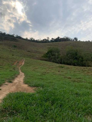 Sítio À VENDA Dores do Paraibuna Santos Dumont MG Terrenos sítios e