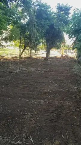 Lote Terreno Para Venda Possui 1977 Metros Quadrados Em Canasvieiras