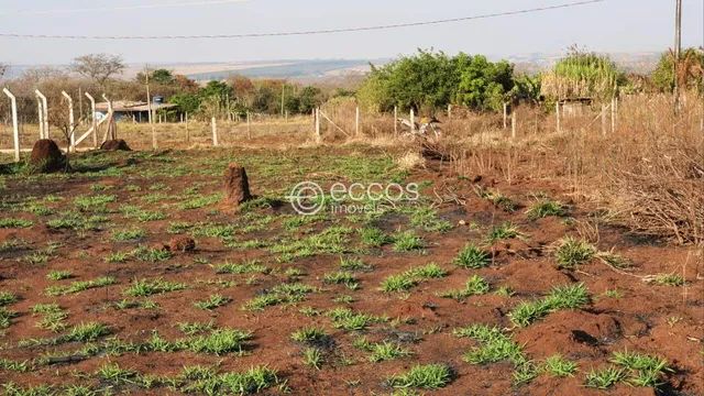 Chacara Represa No Brasil