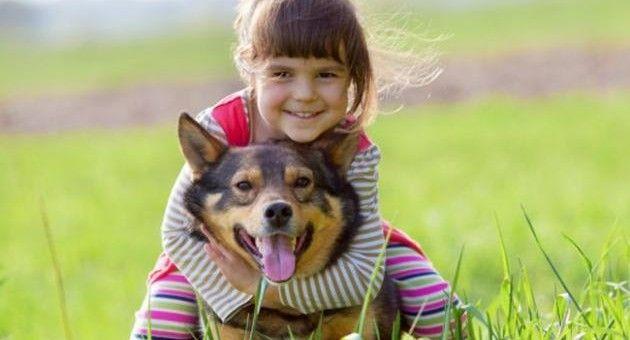 Babá para crianças e animais - diaria