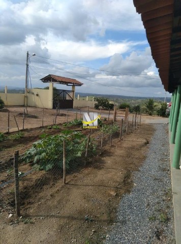 Chácara à venda 3 quartos 1 suíte Zona Rural Viçosa Viçosa AL