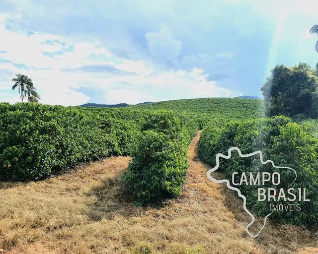 FAZENDA 111 HECTARES NO SUL MINAS GERAIS Terrenos sítios e