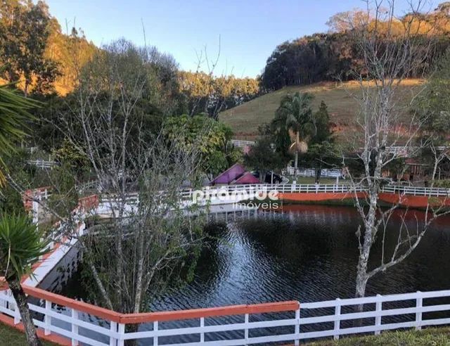 Linda Fazenda Hectares Em Santo Ant Nio Do Pinhal Em Plena