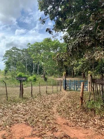 Vendo Fazenda Excelente Pra Reserva Legal Terrenos S Tios E Fazendas