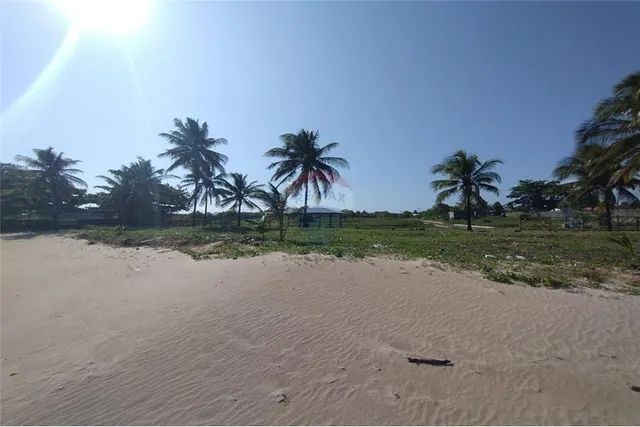 Lotes na praia de Barra Grande Ilha de Itaparica Terrenos sítios e