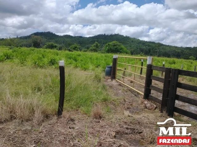 Fazenda Em S O Felix Do Xingu Pa H Soja Ou Boi Terrenos