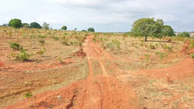 Vende Se Uma Excelente Fazenda De Alqueires Terrenos S Tios E