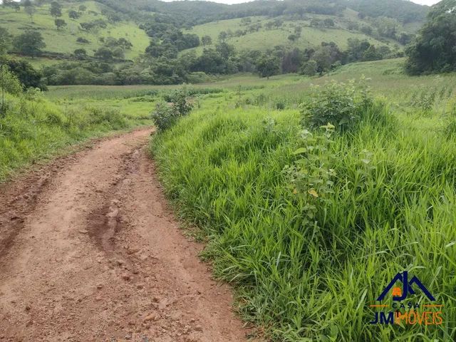 Fazenda de 176 Hectares a 3 5 km do asfalto Terrenos sítios e