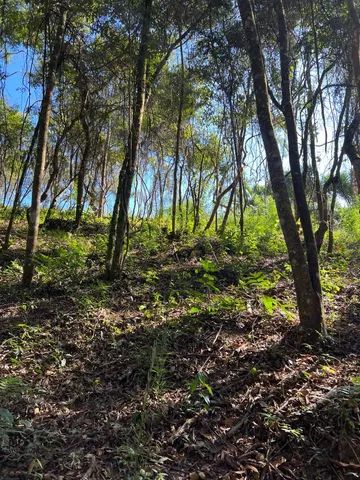 Terreno à venda em São Sebastião das Águas Claras Macacos Nova Lima