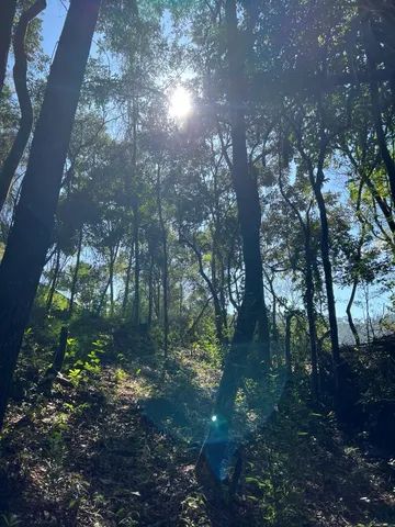 Terreno Venda Em S O Sebasti O Das Guas Claras Macacos Nova Lima