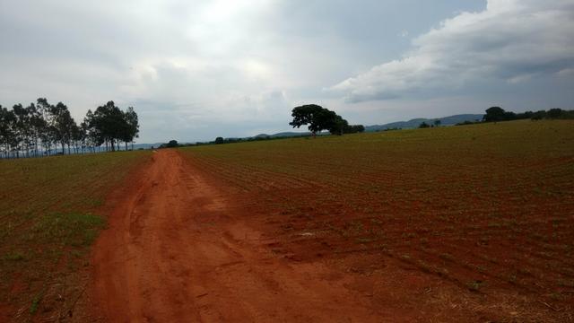 Fazenda para plantio de soja e pecuária em Goiás