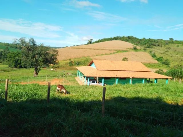 Sitio 1 alqueires e Meio em Turvolândia Terrenos sítios e fazendas