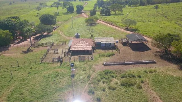 Fazenda a venda em Unaí MG na beira do Rio Preto Terrenos sítios e