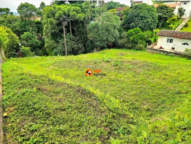 Terreno No Centro De S O Bento Do Sul Sc Terrenos S Tios E Fazendas