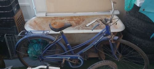 Ceci Bicicleta Antiga Ciclismo No Brasil