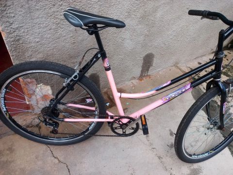 Bicicleta Feminina Ceci Ciclismo No Brasil