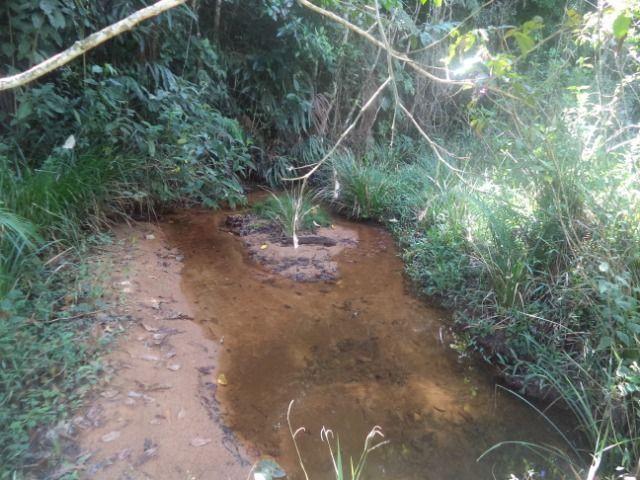 Marechal - Foto 3