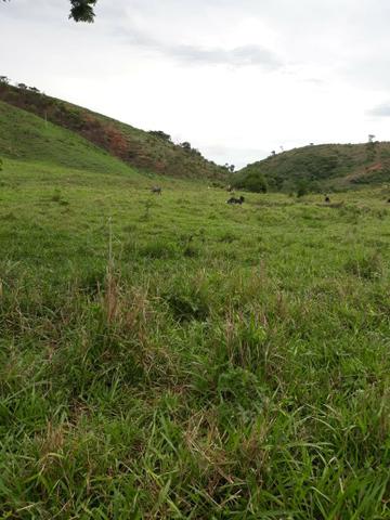 Fazenda 62 alqueires mg, aceita troca - Foto 14