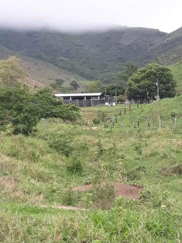Fazenda 62 alqueires mg, aceita troca - Foto 15
