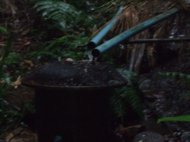 Marechal - Foto 3
