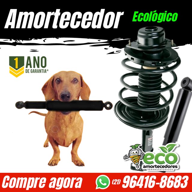 Amortecedor Ecológico só na ECO Amortecedores 