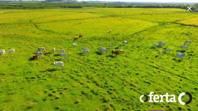 Fazenda na Lapa - Foto 7