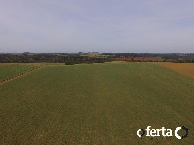 Fazenda na Lapa