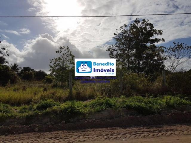Vendo terreno próximo da praia em coroa vermelha, Bahia. - Foto 3