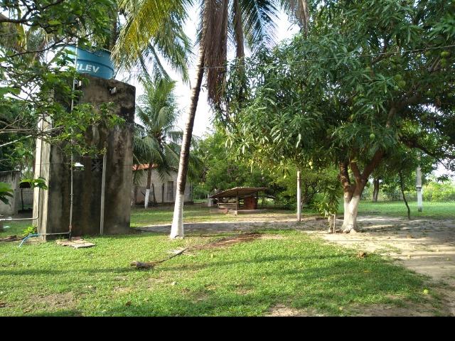 Excelente Sítio (lazer,morar ou investir) - Foto 6