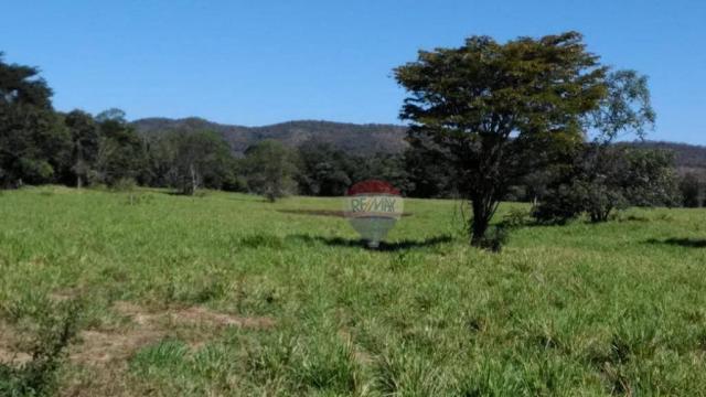 4 chácaras de 4 de hectares à venda por de r$ 320.000,00 cada em unaí/mg - Foto 3