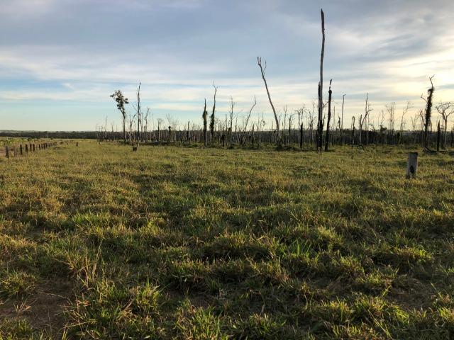 68 alqueires, 58 alqueires de pasto, Nova Marilãndia-Pecuama-MT