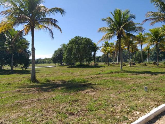 T. Garanta já o seu Lote no Residencial Unavida - Foto 3