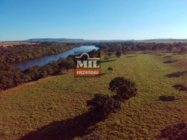 Fazenda 22 Alqueires (106 hectares) Nova Xavantina-MT - Foto 11