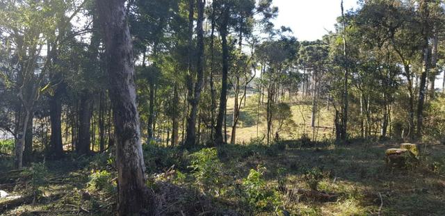 Vendo chácaras a partir de 5000m² a 30 km do Ceasa,Leia o Anuncio! - Foto 9