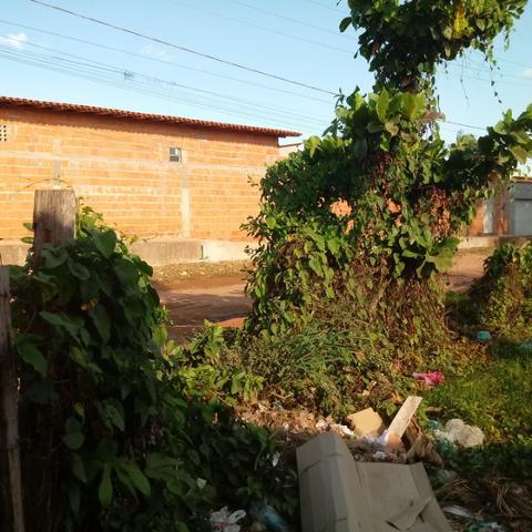 Terreno 1.280 m2 Rua C 235 proximo ao Planalto - Foto 6