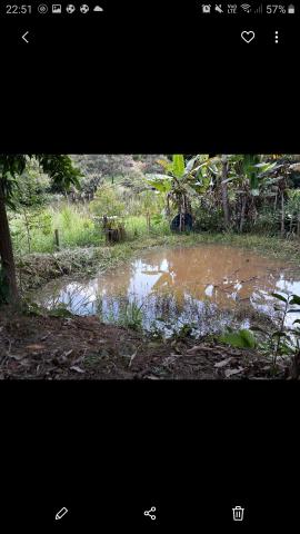 Granja - Foto 2