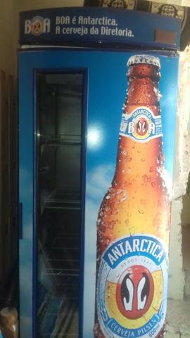 Cervejeira antactica