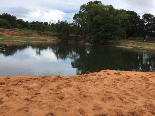 Fazenda 700 alqueires em Figueirão/MS - Foto 6