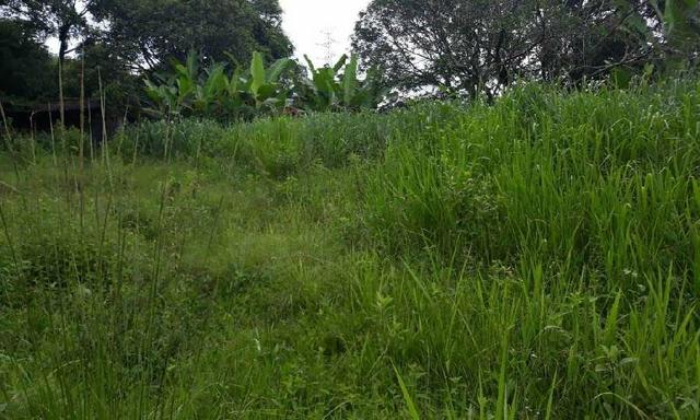 Excelente Propriedade em Guapimirim Estrada Rio Teresópolis 48.000m2 R$ 170 mil - Foto 11