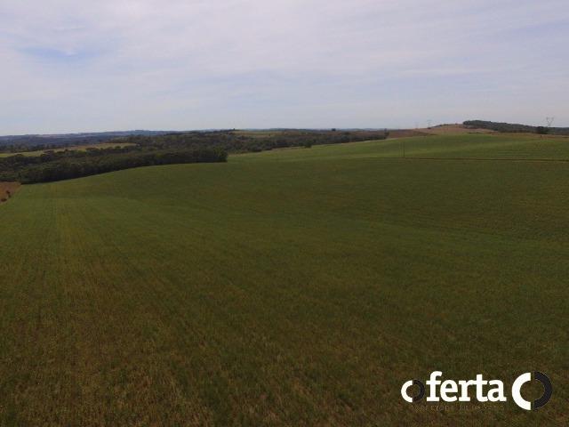 Fazenda na Lapa - Foto 11