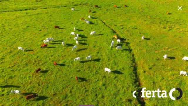 Fazenda na Lapa - Foto 8