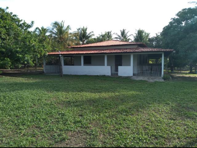 Excelente Sítio (lazer,morar ou investir) - Foto 2