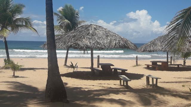 Lotes Taipu de Fora - Península de Maraú - Bahia - Foto 15