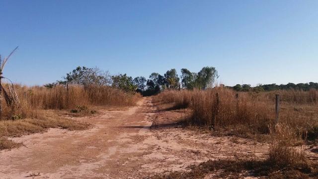 1200 hectares, pecuária, Diamantino-MT, troca-se por imóveis em MT - Foto 2