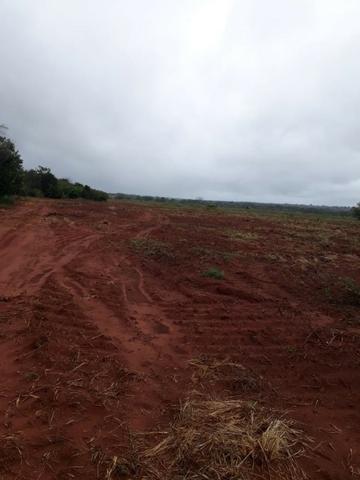 Fazenda de 900 Hectares ?Nova Maringá-MT, Troca imóveis em Campo Novo, Tangara - Foto 3