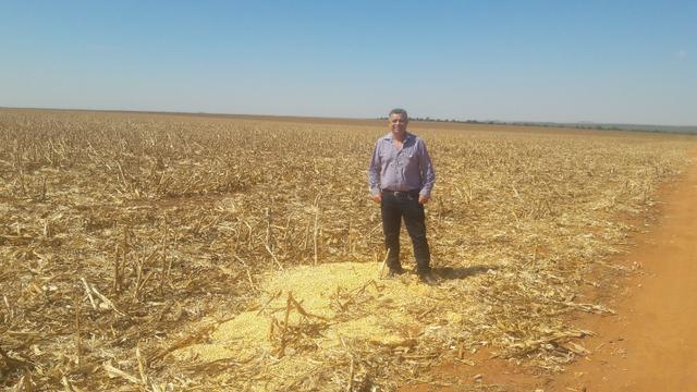 Troco Paraná, 900,00 Hectares-MT, aceita-se imóveis Paraná - Foto 9
