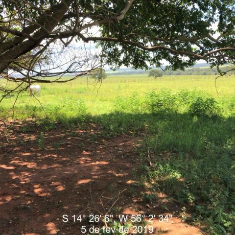 295 Hectares, 240 Hectares aberta, para soja, Região BR-163, próximo Mutum