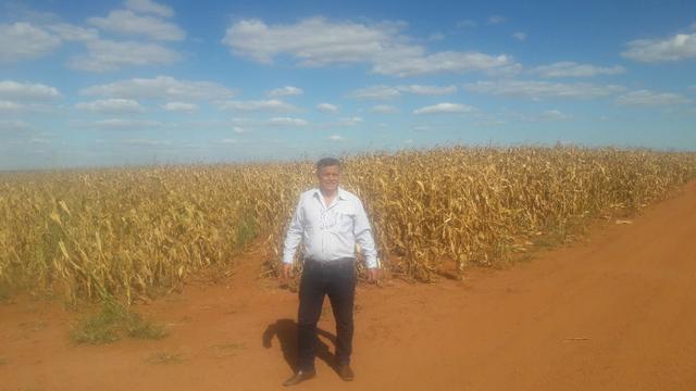 Troco Paraná, 900,00 Hectares-MT, aceita-se imóveis Paraná - Foto 5